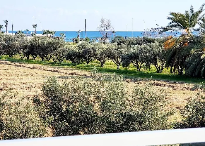 Utopia Paphos